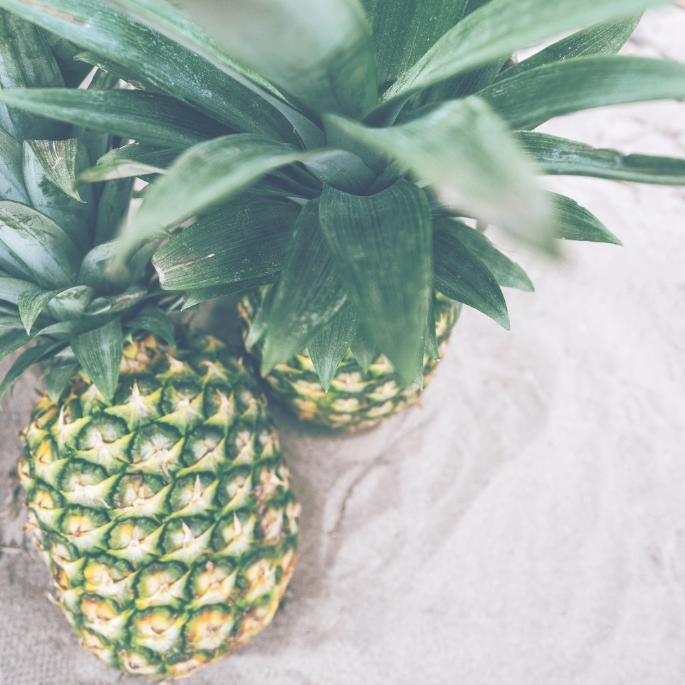 Meet your Posher, Anne